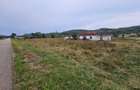 Teren localitatea Petris, Arad - 8