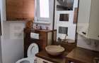 Apartament cu 3 camere 74 mp Mobilat Modern Garaj Grigore Alexandrescu - 6