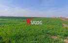 Teren de vânzare – 10.000 mp – ideal pentru parcelare și construcții - 4