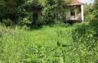 Domeniu verde autentic,  +5.000mp, front la DJ, Valcele, Brasov -- Covasna - 4