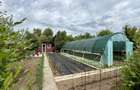 Tunari casă în Dimieni – 3 camere, curte amenajată, grădină cu seră, parcare - 8