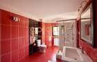 SUPERB/ VILA INDIVIDUALA/ GARAJ/ GRADINA MATURA - 11