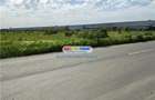 Teren Industrial 3 HECTARE Str Rudeni cu deschidere 50 ML - 3