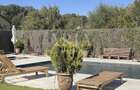 TRIANA 3 CAMERE | CURTE | PISCINA | GYM - 12
