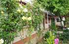 Casă de vânzare, Mihai Bravu, Giurgiu, locuinta permanenta sau casa de vacanta - 2