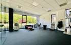 Spațiu de Birouri Modern – 220 mp Open Space | Parcul Tehnologic Tetarom I - 5