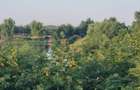 Teren cu Vedre Lac - 2