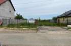 Remetea Mare, Teren Intravilan 1.500 Mp., - 6