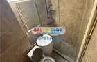 APARTAMENT 2 CAMERE DE INCHIRIAT CISMIGIU VASILE PARVAN - 6