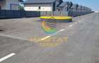 Vila 5 camere- teren 500mp - Frumusani- mutare imediata! - 18