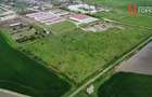 Teren intravilan cu suprafata de 58.340 mp, in Sanmartinul Sarbesc - 13