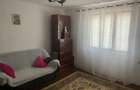 Proprietate rară – 2 case + livadă, vie și teren generos, la 20 km de Târgu Jiu - 11