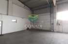 De inchiriat Hala C1 - zona DNCB Clinceni - 13