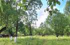 Casă de vânzare în inima naturii – Ludești, județul Hunedoara - 12