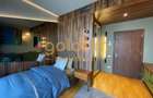 APARTAMENT UNIC/CONCEPT HOUSE/DESIGN/SERVICII HOTELIERECOMPLETE/PRIMAVERII - 32