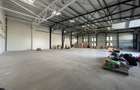 Hala, showroom de inchiriat, 1156mp, Parc Miroslava - 5