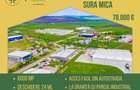 Teren de vanzare 13 euro mp,  6.000 mp - Parcul Industrial Sura Mica Sibiu - 3