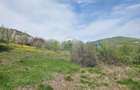 Teren 1,000mp Piatra-Neamt / Zona Fermelor - 7