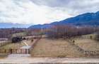 Teren intravilan 850mp Zarnești-Bran, natura-relaxare - 8