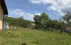 TEREN INTRAVILAN / EXTRAVILAN | DE VANZARE | 1200 MP | ROSIA | BIHOR | - 7