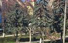 Investiție în patrimoniu UNESCO – apartament în centrul Sighișoarei - 7