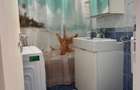 Apartament 2 camere BABA NOVAC metrou Dristor DECOMANDAT,MOBILAT,UTILAT,STRADAL - 7
