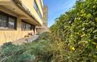 Inchiriere apartament 160 mp- 3 camere cu gradina zona Nordului Sat Francez - 9