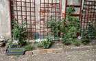 Apartament cu 3 camere/  Piata Victoriei/ Moxa - 12