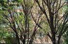 Apartament 3 camere 69 MP | Bloc 1992 | Bd. Gh. Sincai | Ideal familie - 15