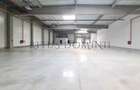 Hala Industriala de Inchiriat, Arad-Nord, Acces Tir, 1170-2340m2 - 1