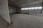 Hale cu suprafete intre 100-300mp in zona Drumul Intre Tarlale - 6