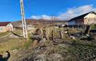 Teren Intravilan Dumitrita - 7