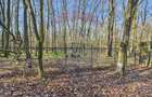 De vanzare | Vila in Paradisul Verde cu gradina si padure proprie | - 22