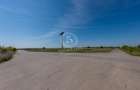 Corbeanca Strada Sportului -Acces direct catre viitoarea Autostrada de Centura - 14