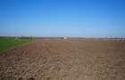 Teren 1 HECTAR cu deschidere mare la DJ682 – Zădăreni, Arad - 1