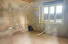 Casa plus teren de vânzare în Balinț,comision ,,0'' - 6