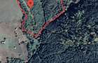 Vindem teren forestier 44165 mp Doabra - Bucovina - 2