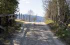 🌿 Teren Intravilan 3.791 mp | Priveliște Panoramică Superbă | Poiana Mărului - 6