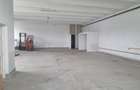 Hale + Atelier Mecanic + Birouri - 2