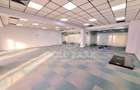 Spatiu de Birouri-Zona Traian Vuia-Parcare/Suprafete de la 50-160 mp - 4