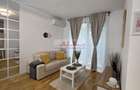 Inchiriere Studio Baneasa Bucuresti sector 1  curte privata, Aeroprort - 2