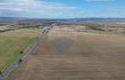 Teren Tisita/ DN2 E85 2.75 ha - 5