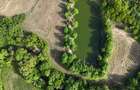Teisori domeniul verde cu baltă de pește ,Neajlov,,Padure - 7