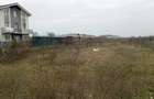 REL4001264 Teren Intravilan 11075 mp Otopeni Ilfov - 3