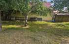 Proprietate in Pastraveni,Neamt cu teren de 1600mp, comision zero - 4