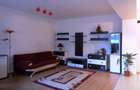 Inchiriem Apartament 2 Camere, Mobilat, Open Space, Racadau - 9