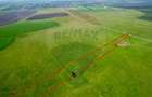 5 hectare teren agricol- pășune, cu front la șosea, zona Sântana - 9