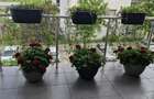Baneasa-Felicty Resident-lux - 18