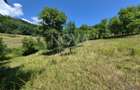 Casa individuala cu teren generos – 8.356 mp – Tichindeal, jud. Sibiu - 45