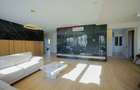 De vânzare Vilă cu 8 camere în Sânmartin, 290 mp util, teren 1100 mp - 2